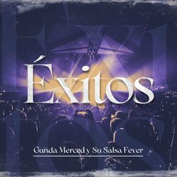 Cover of Éxitos