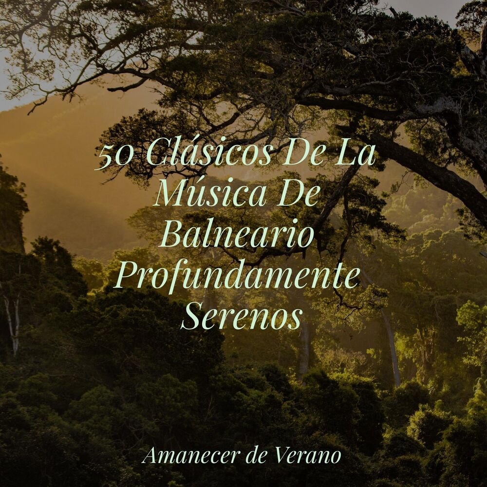 Picture of 50 Clásicos De La Música De Balneario Profundamente Serenos