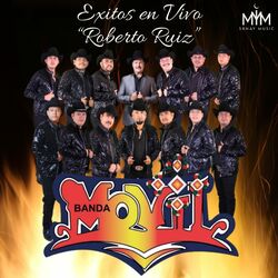 Cover of Éxitos En Vivo (Roberto Ruiz)