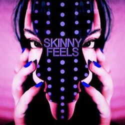 Cover of Skinny Feels