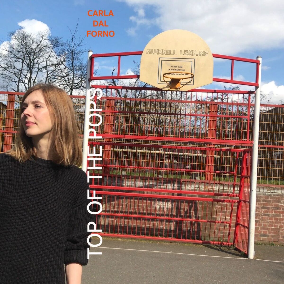 Album cover of Summertime Sadness