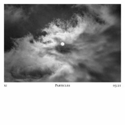Cover of Particles