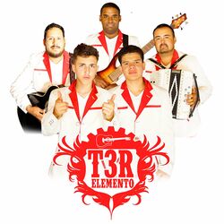 Cover of Fiesta en la Sierra