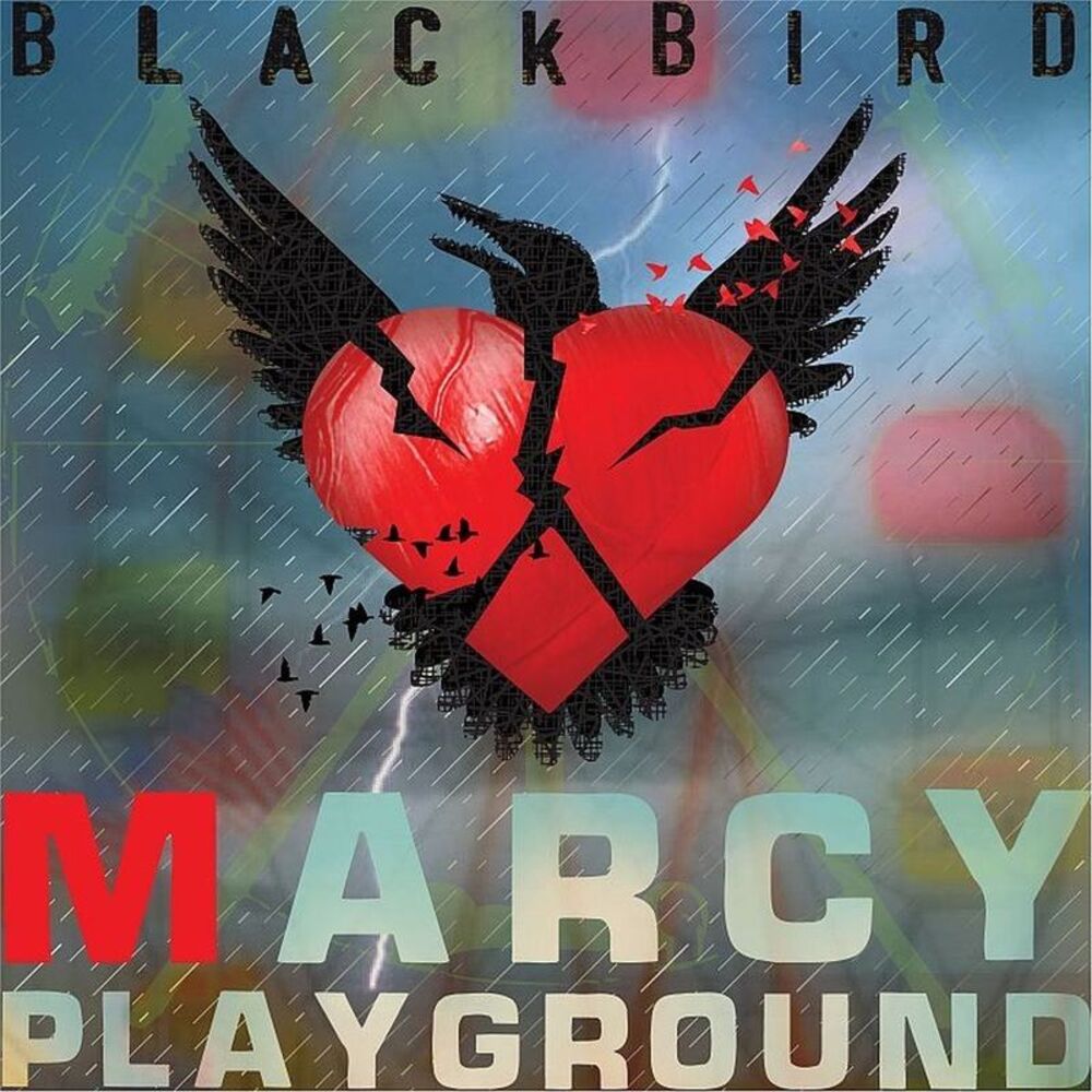 Picture of Blackbird