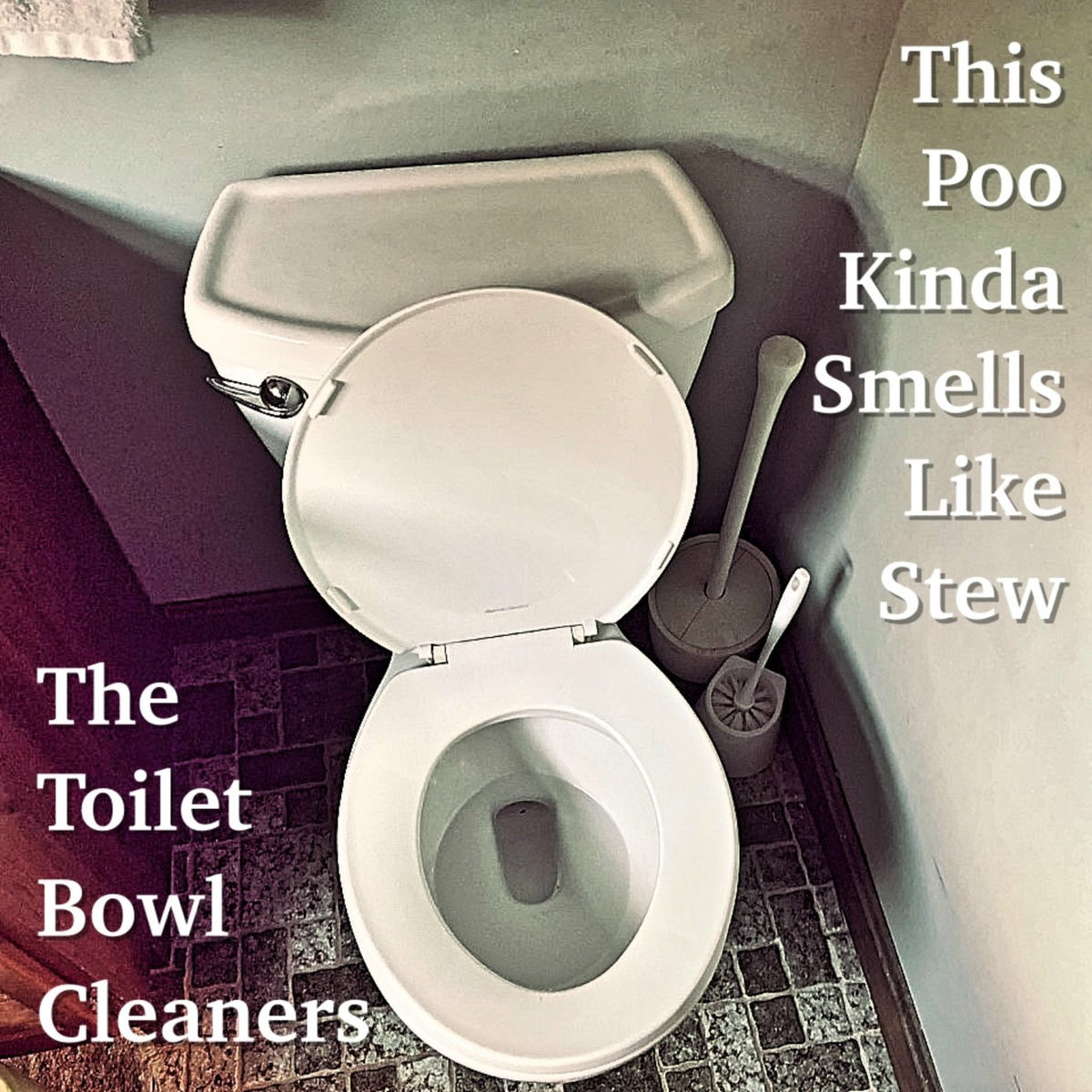 Album cover of This Poo Kinda Smells Like Stew