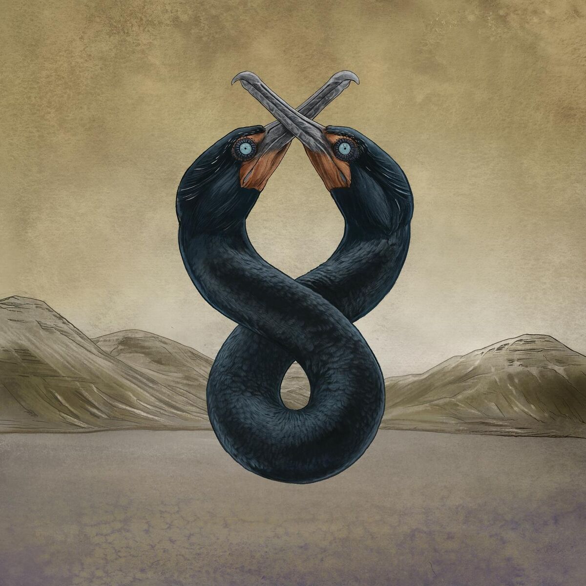 Album cover of The Cormorant I & II
