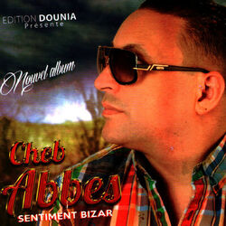 Cover of Sentiment bizar