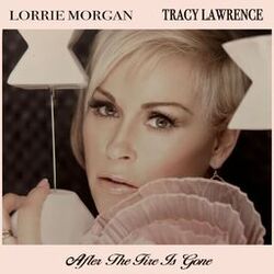 Cover of After the Fire Is Gone