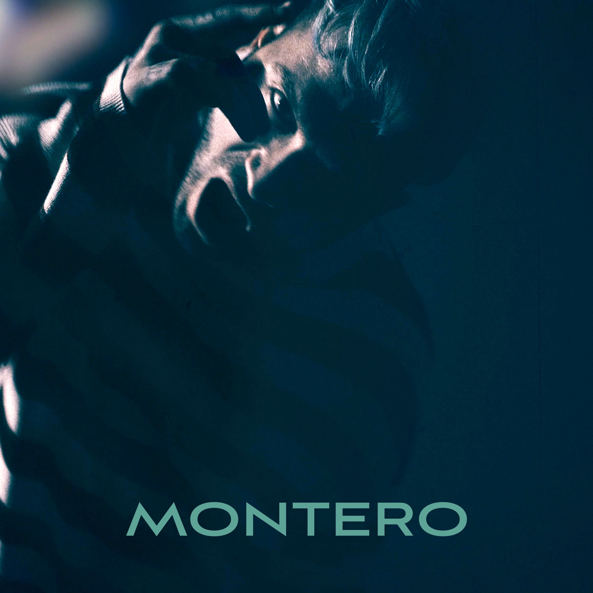 Album cover of MONTERO (Call Me By Your Name)