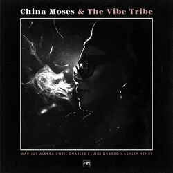 Cover of & the Vibe Tribe