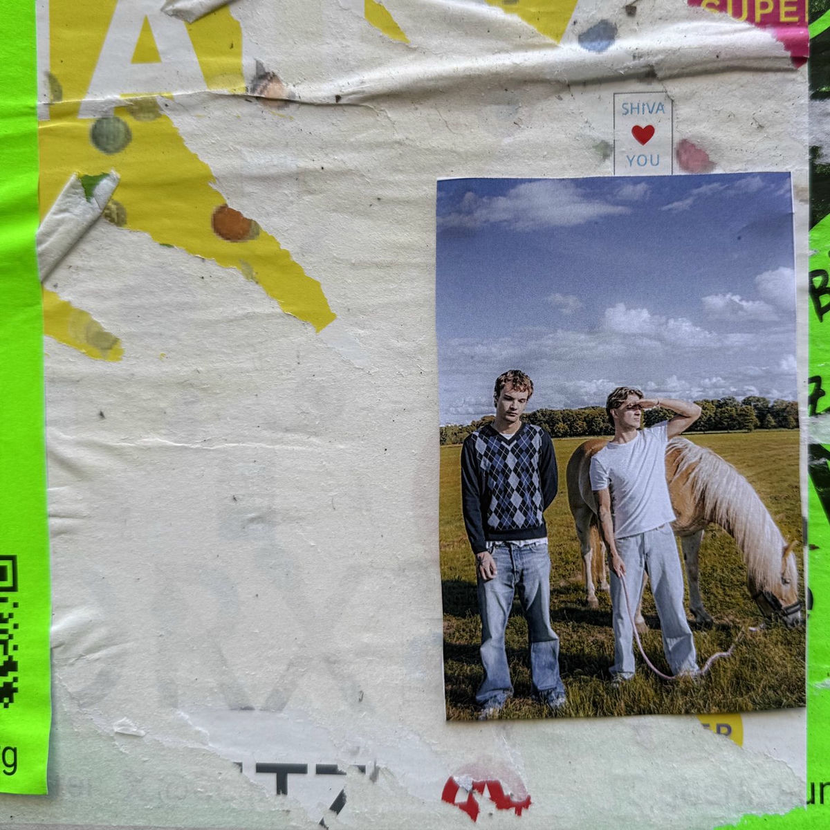 Album cover of wiese