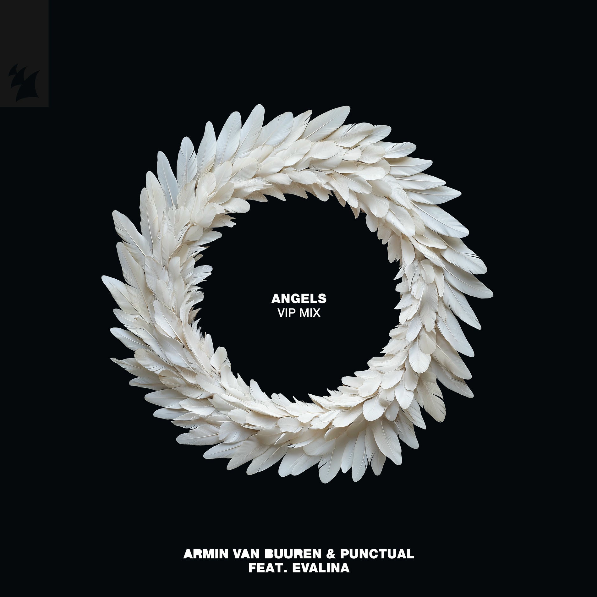 Album cover of Angels (VIP Mix)