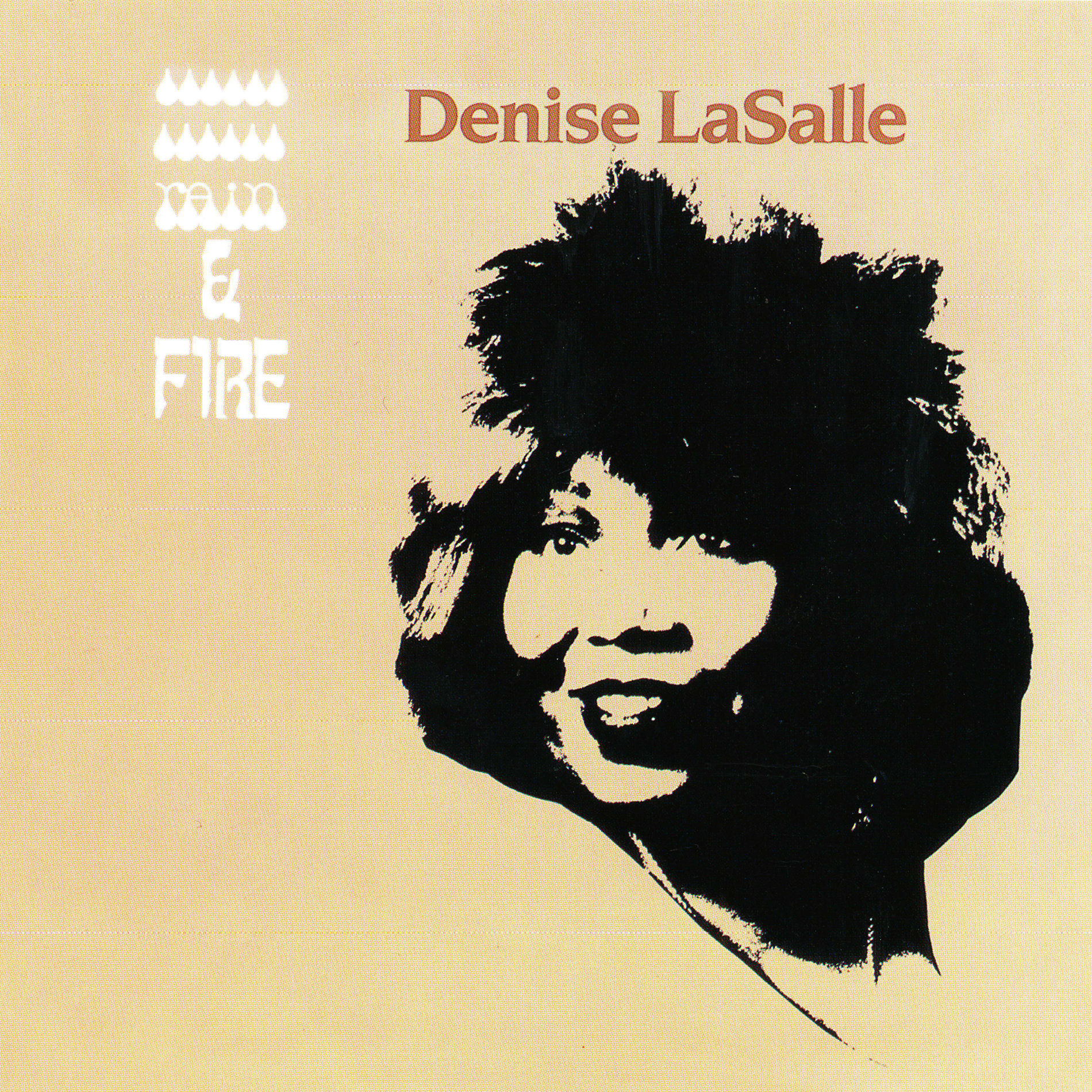 Album cover of Rain & Fire