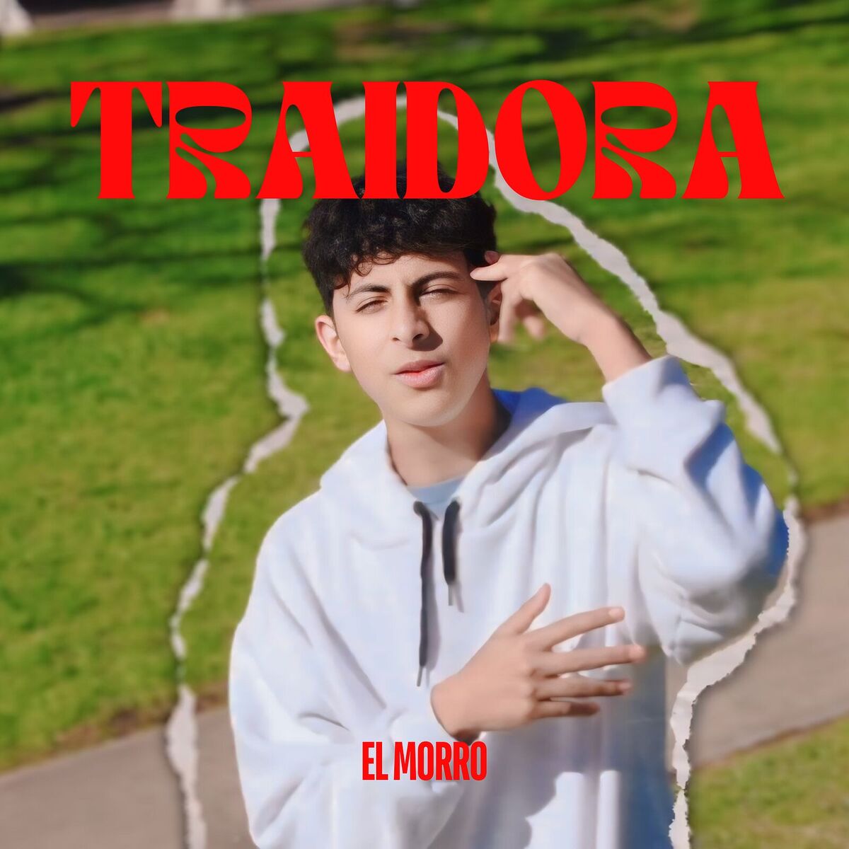 Album cover of Traidora