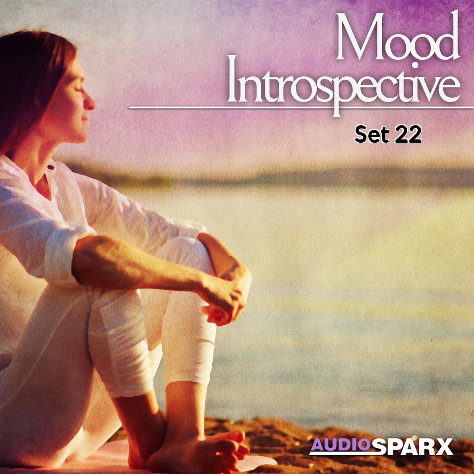 Album cover of Mood Introspective, Set 22