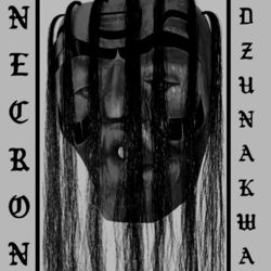 Cover of Dzunakwa