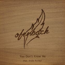 Cover of You Don't Know Me