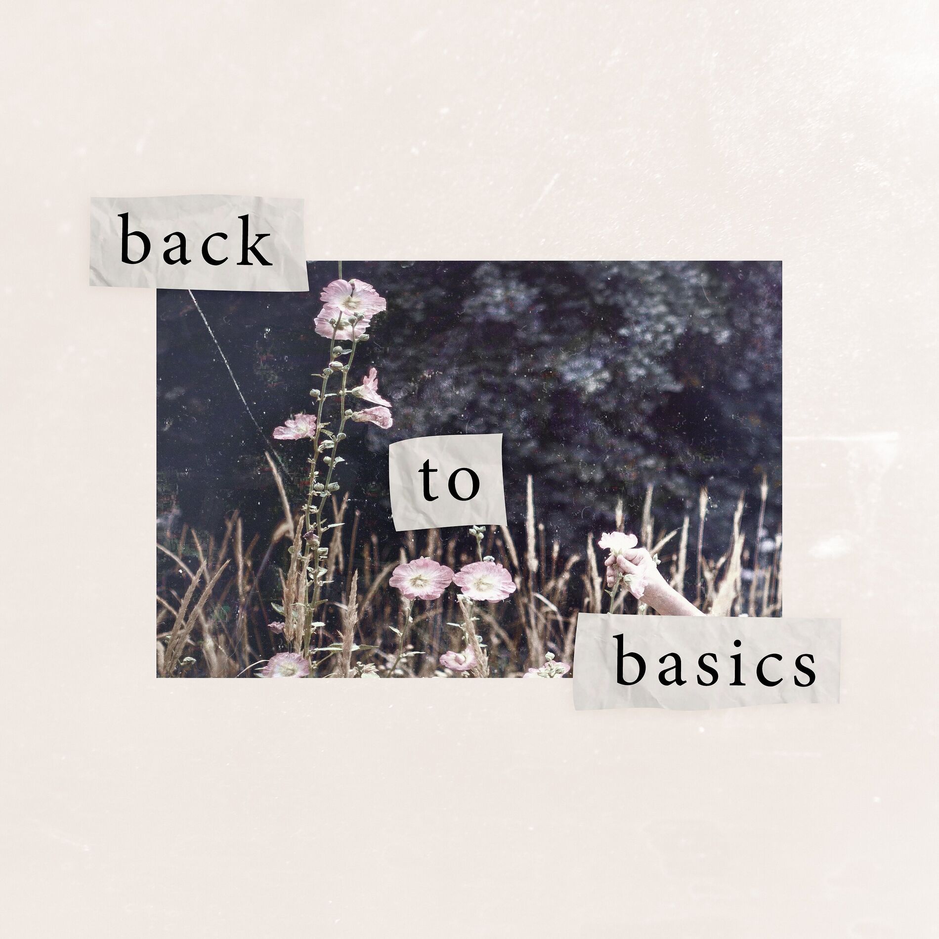 Album cover of Back To Basics