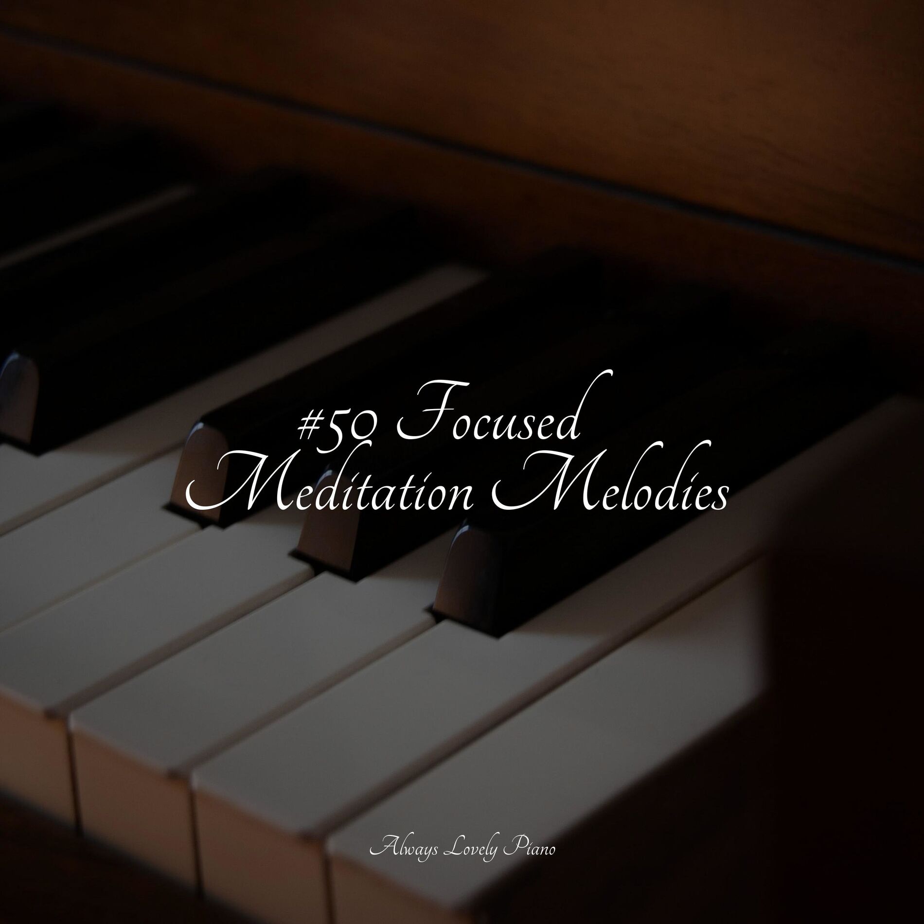 Album cover of #50 Focused Meditation Melodies