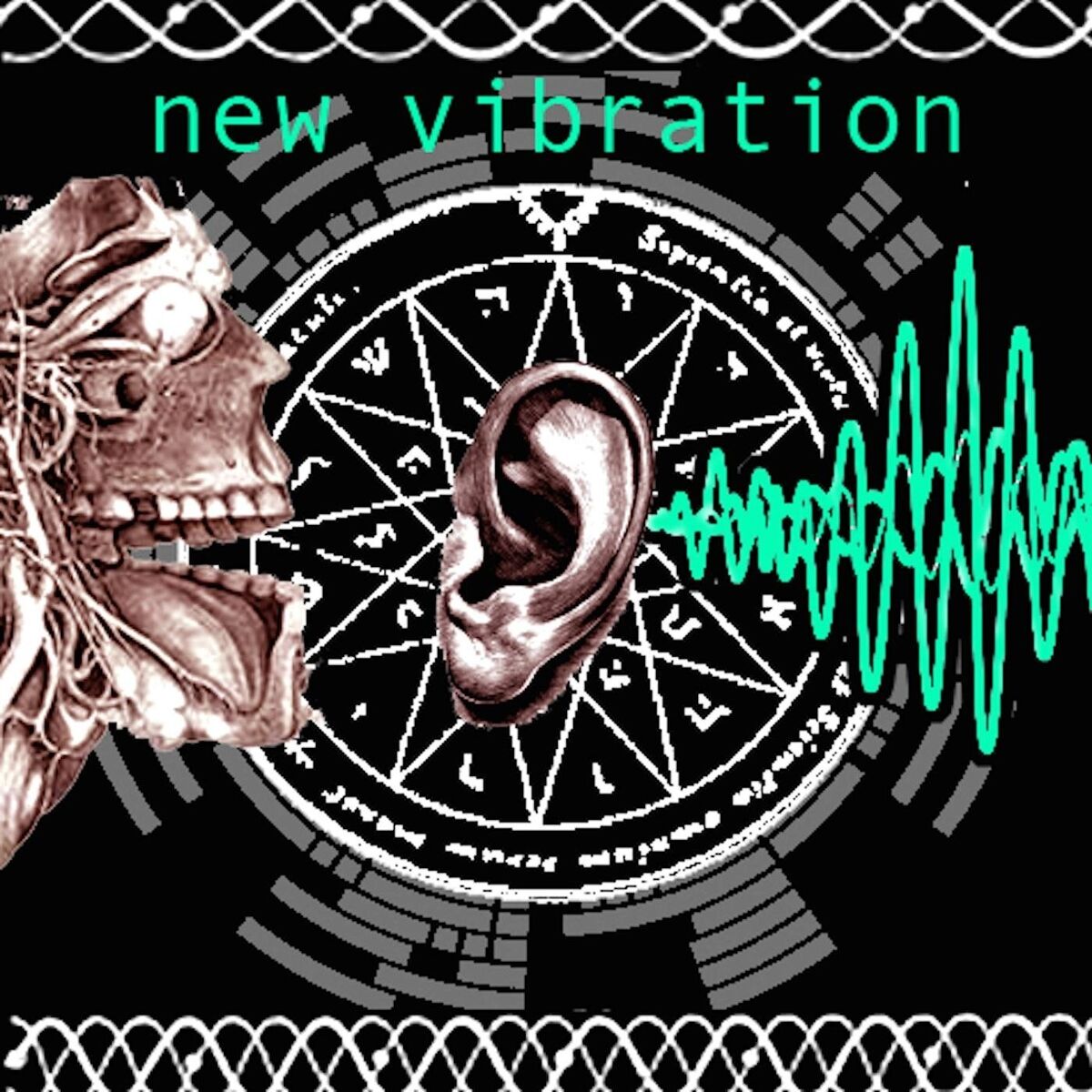 Album cover of New Vibration
