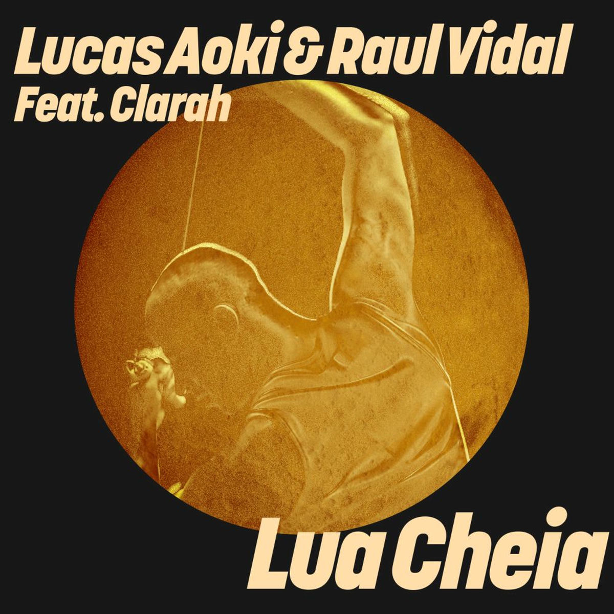 Album cover of Lua Cheia