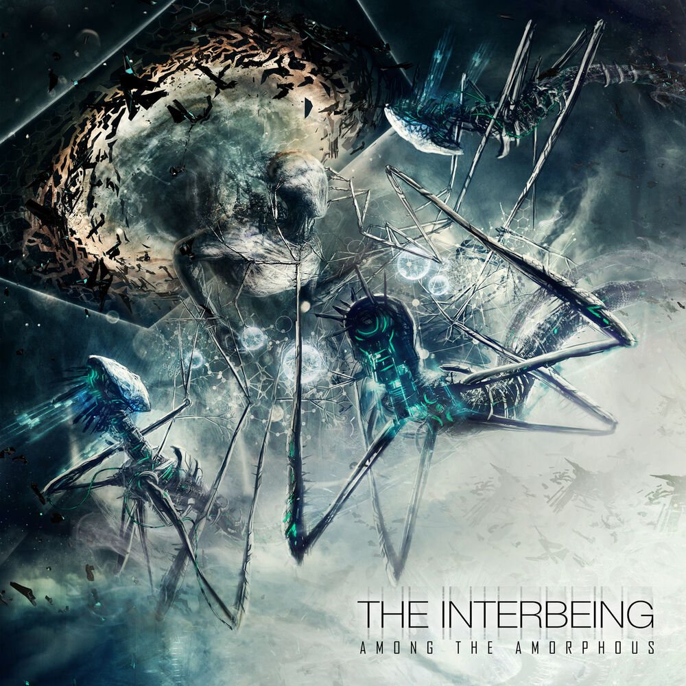 Picture of Among the Amorphous