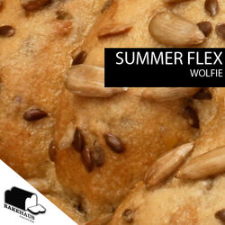 Cover of Summer Flex - EP