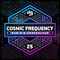 Cosmic Frequency (Official Decibel outdoor 2025 Anthem)