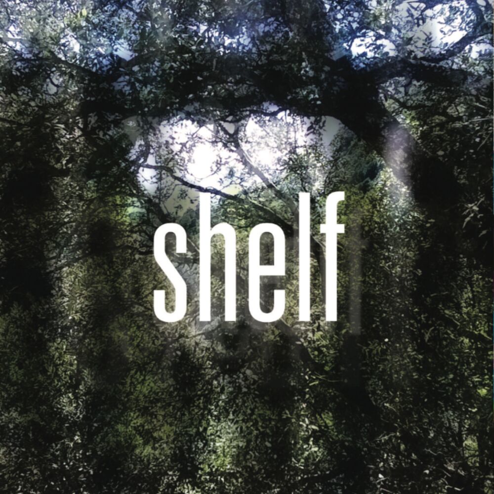 Picture of Shelf