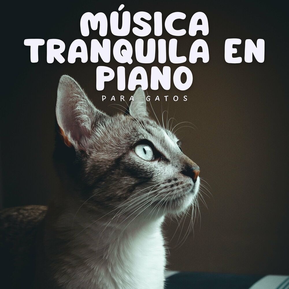 Picture of Música Tranquila En Piano Para Gatos