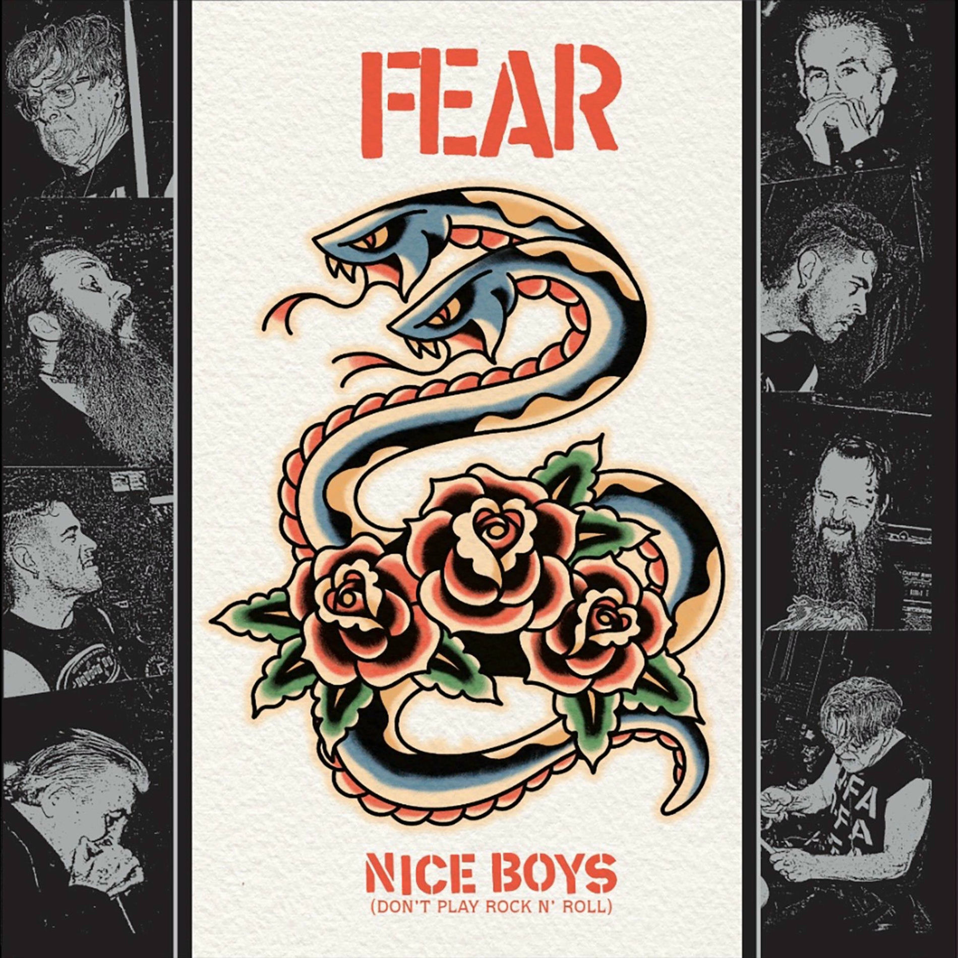 Album cover of Nice Boys (Don't Play Rock & Roll)