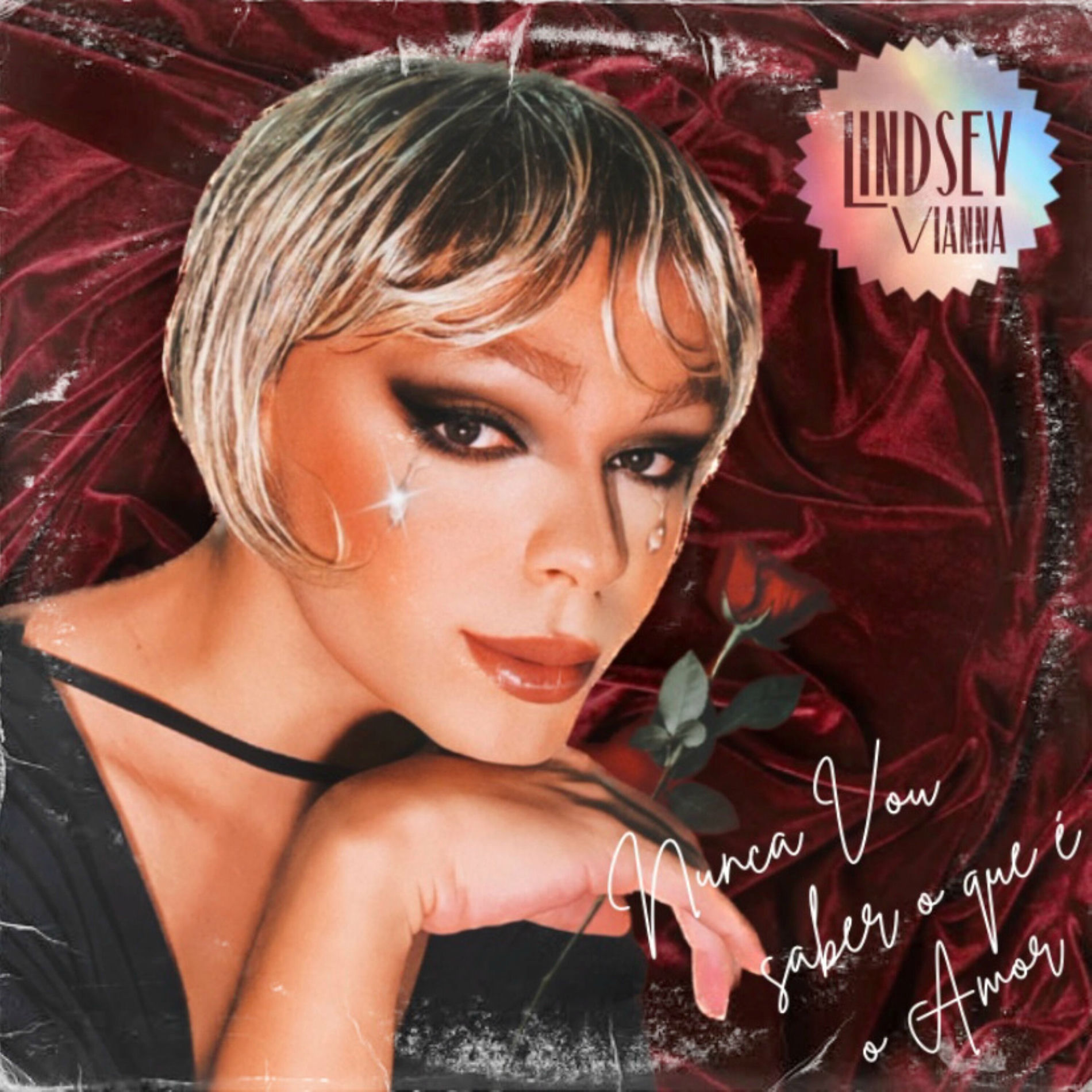 Album cover of Nunca Vou Saber O Que É O Amor