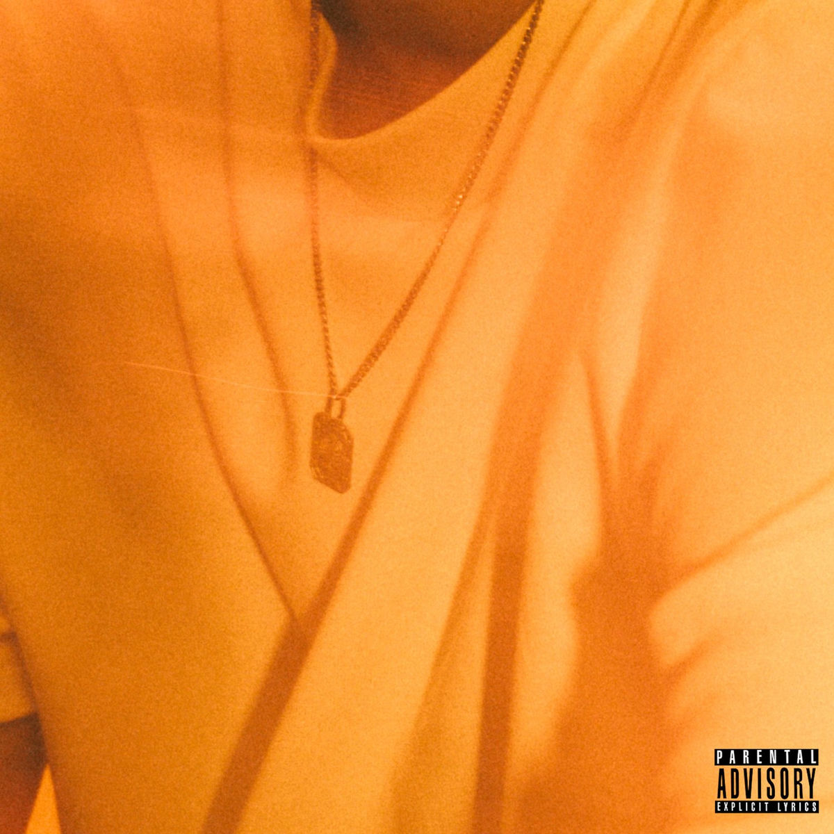 Album cover of DAWGS