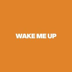 Wake Me Up