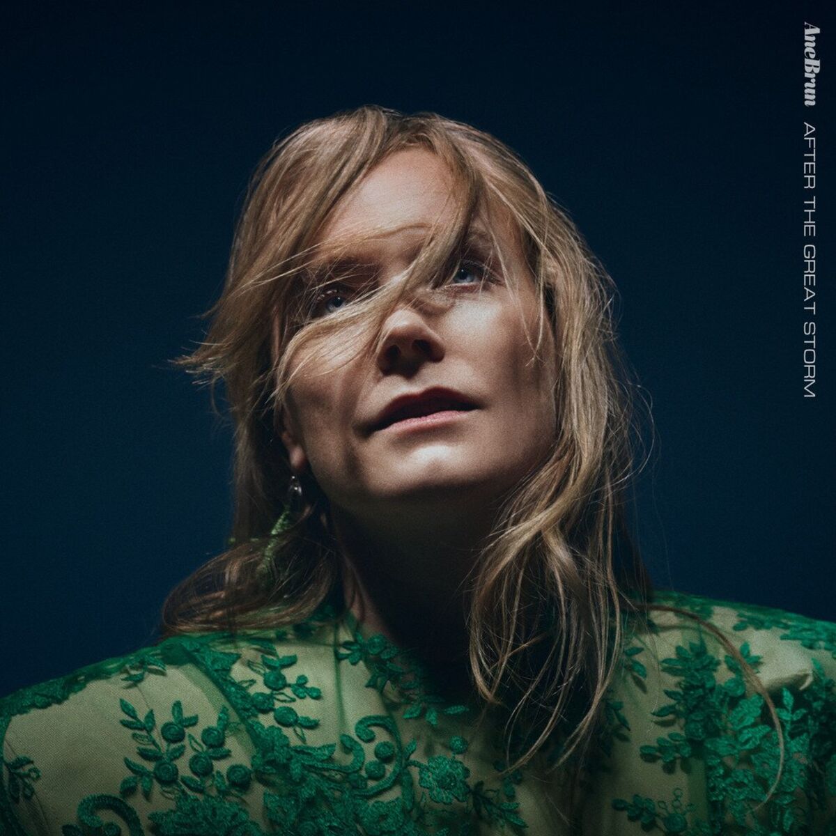Album cover of After The Great Storm