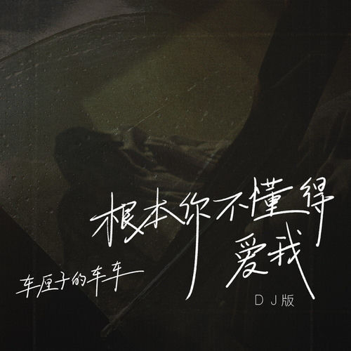 根本你不懂得爱我 (DJ版)