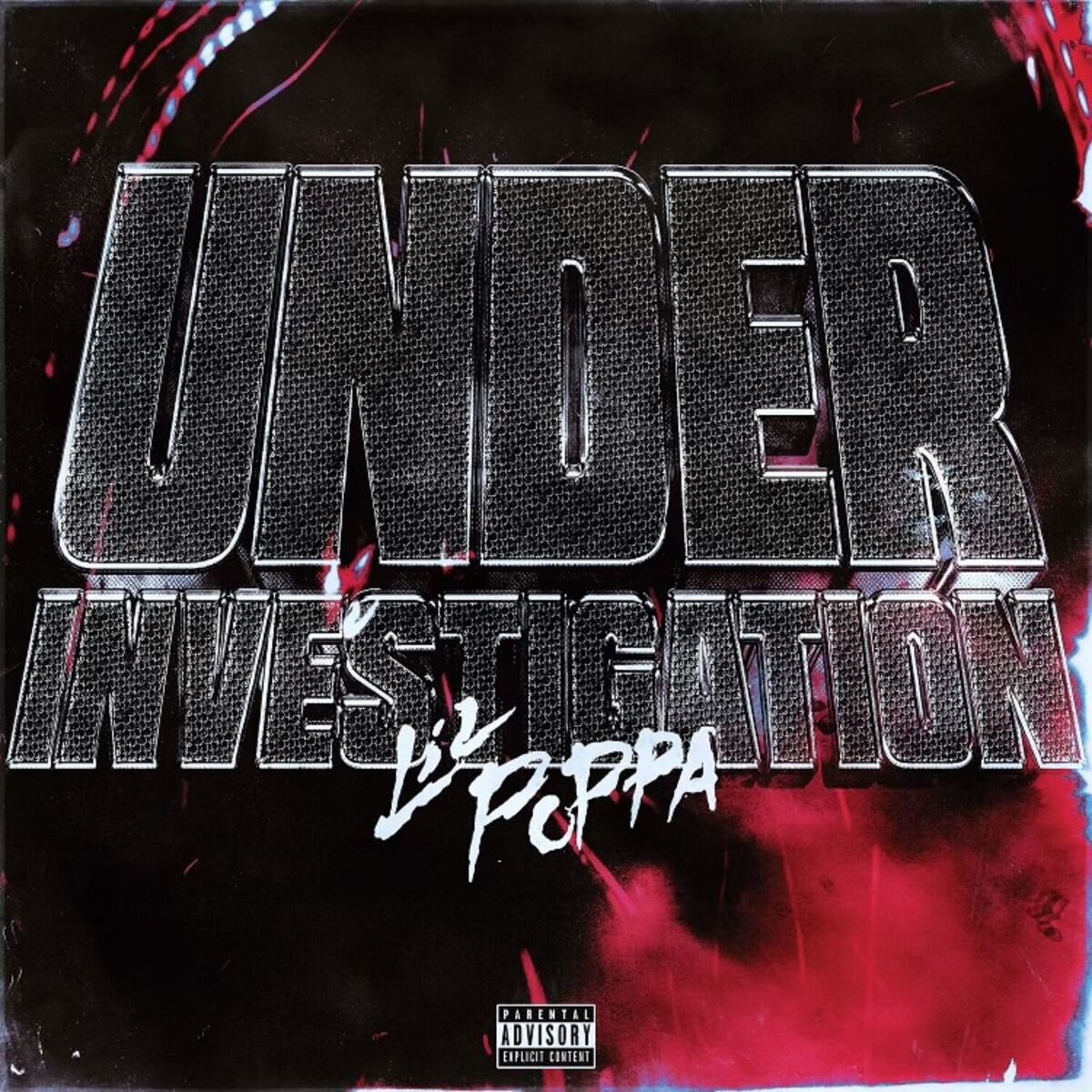 Album cover of Under Investigation