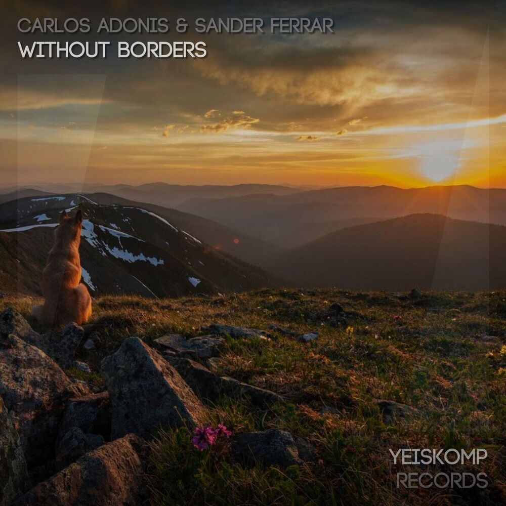 Picture of Without Borders