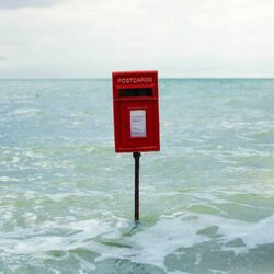 Cover of Postcards
