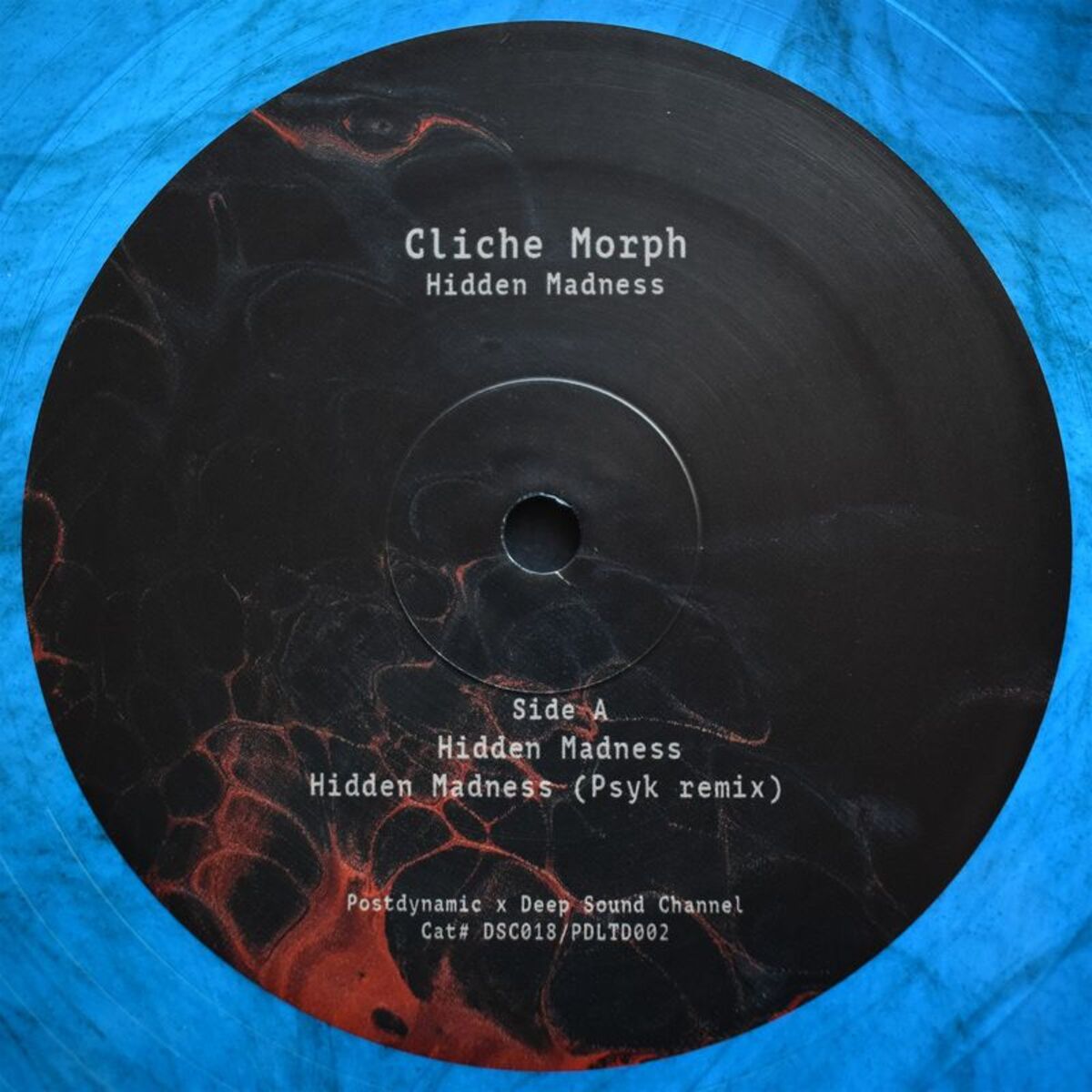 Album cover of Hidden Madness