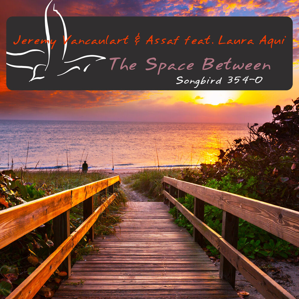 Picture of The Space Between