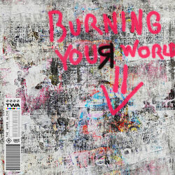 Cover of BURNING YOUR WORLD DOWN