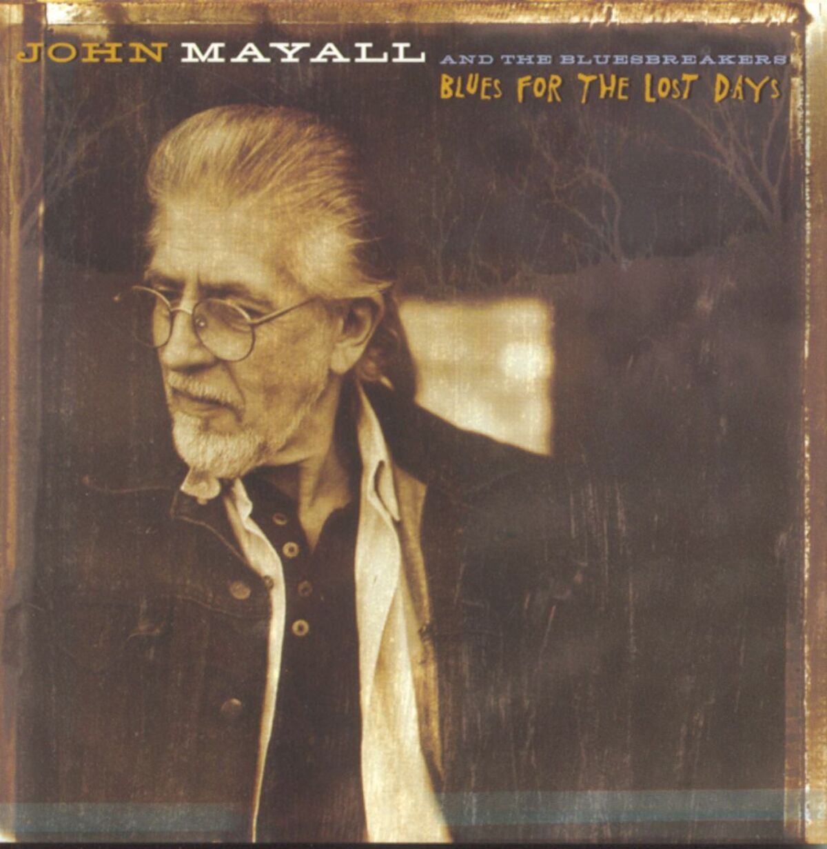 Album cover of Blues For The Lost Days