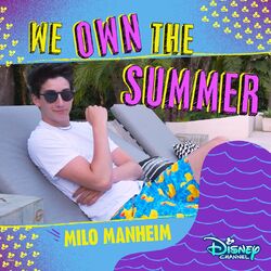 Cover of We Own the Summer