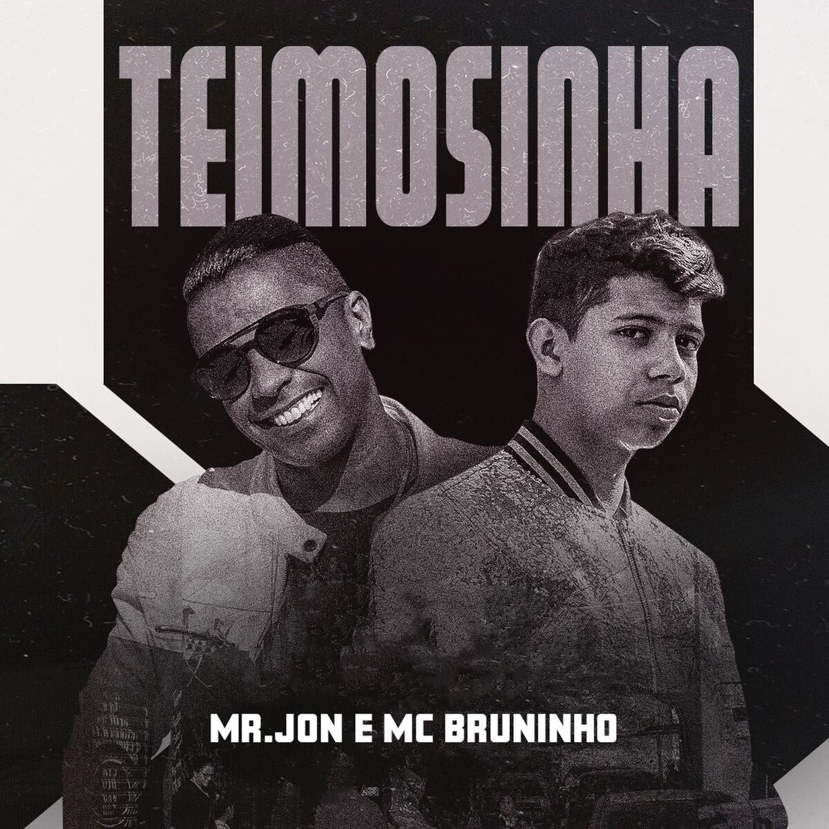 Album cover of Teimosinha