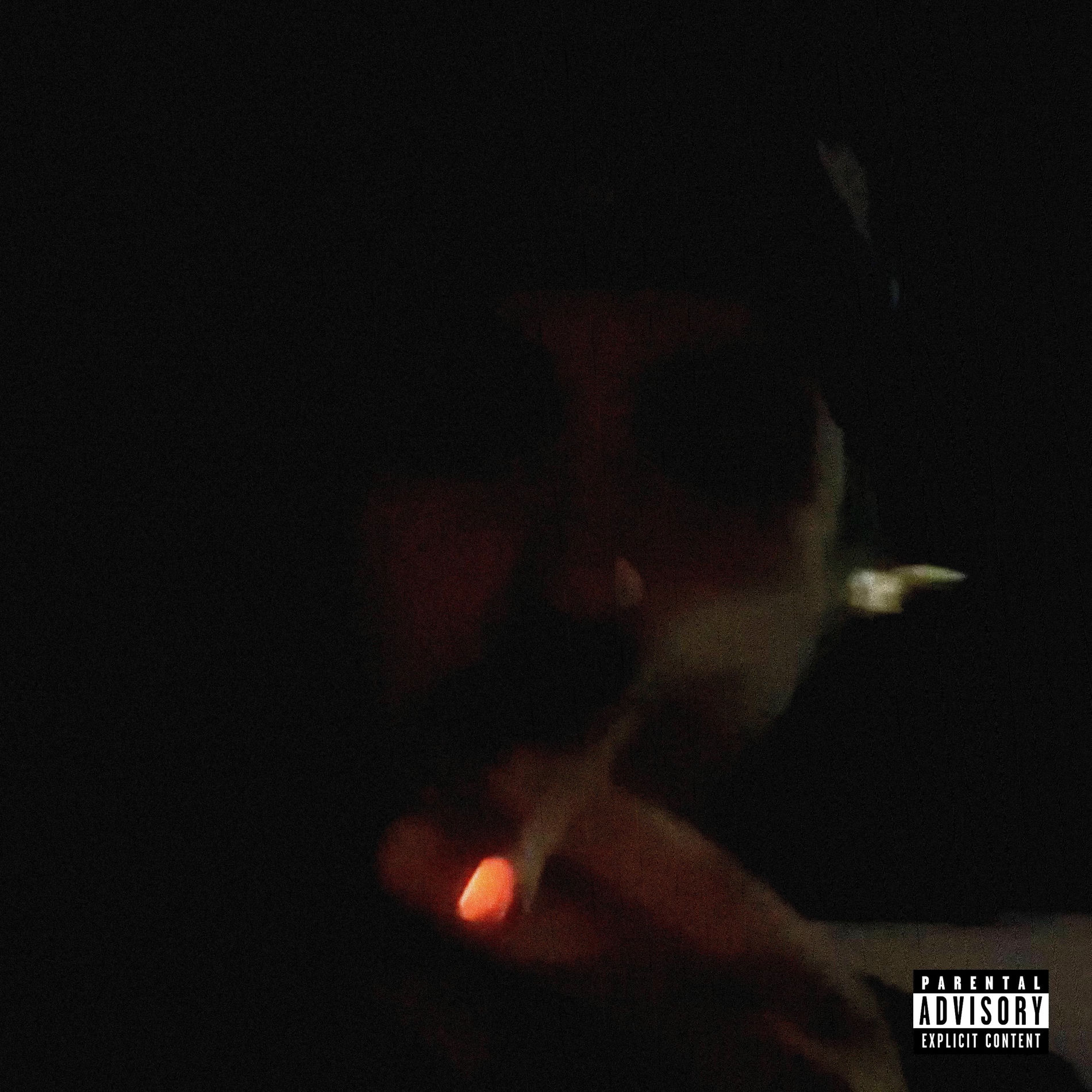 Album cover of Grown Bitch