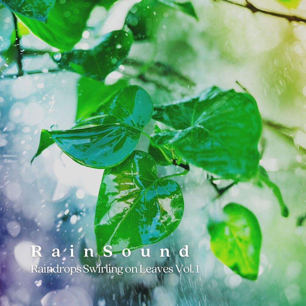 Picture of Rain Sound: Raindrops Swirling on Leaves Vol. 1