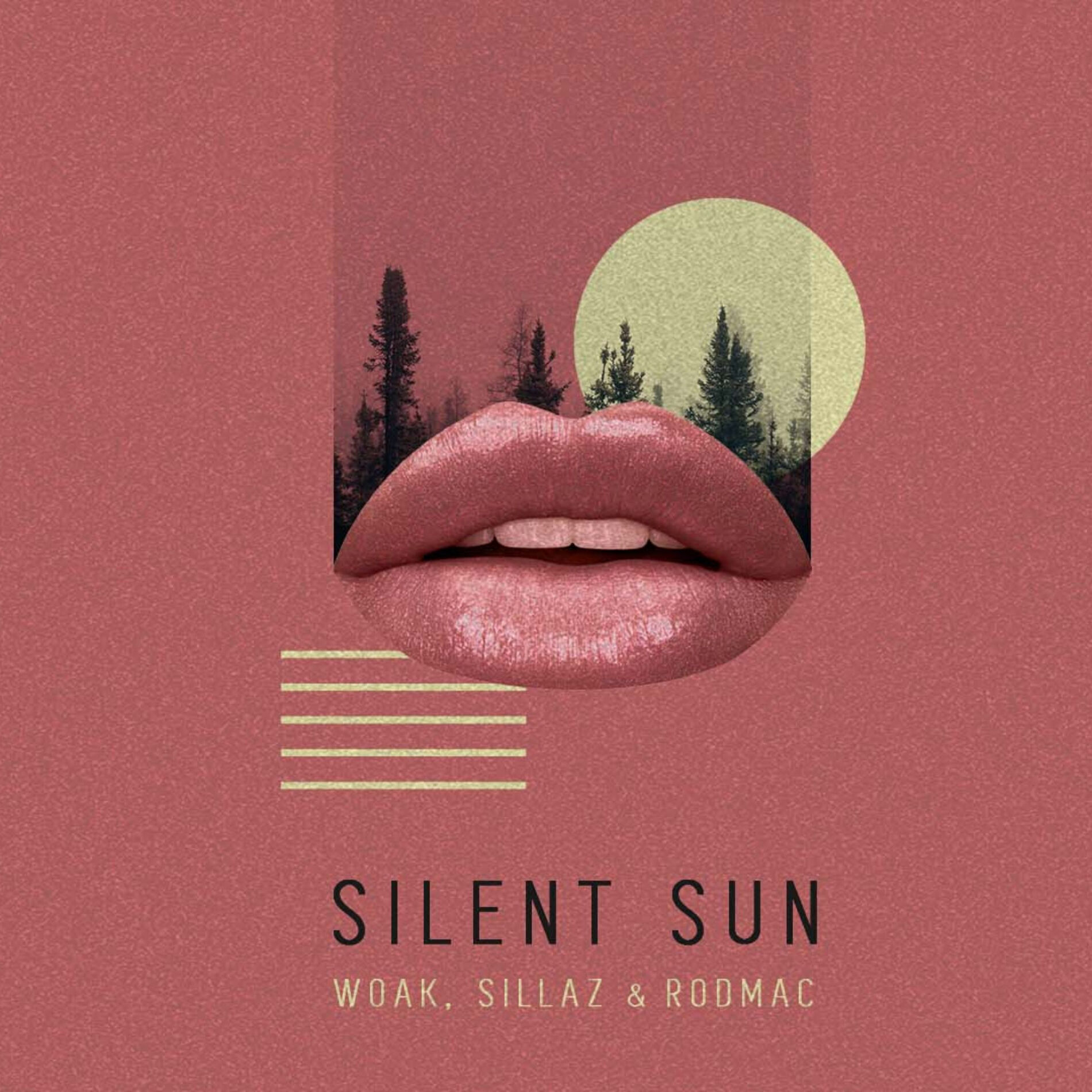 Album cover of Silent Sun