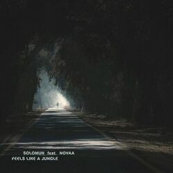 Cover of Feels Like A Jungle