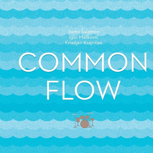 Common Flow